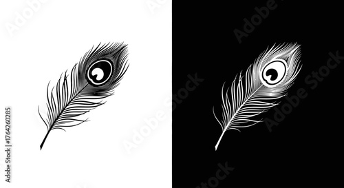 Two peacock feathers, one black on white and the other white on black, showcasing intricate details.