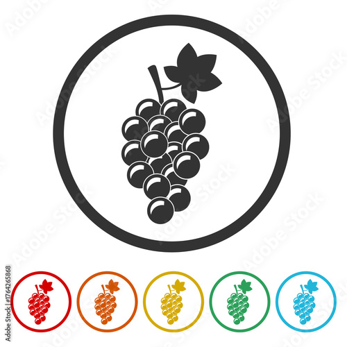 Bunch of grapes with leaf icon. Set icons in color circle buttons