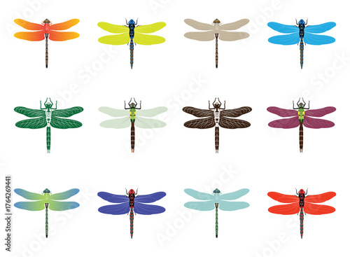 Set of colorful dragonflies, vector illustration.