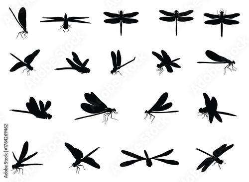 Dragonfly silhouette set. Dragonfly is a winged animal, flying fast. Vector illustration.