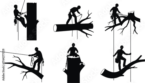Tree work tree removal arborist tree surgeon tree climber silhouette
