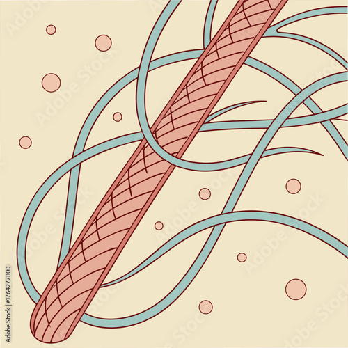 Adobe Illustrator Artwork: A vector illustration of a hair strand with the microscopic structure of a single hair shaft