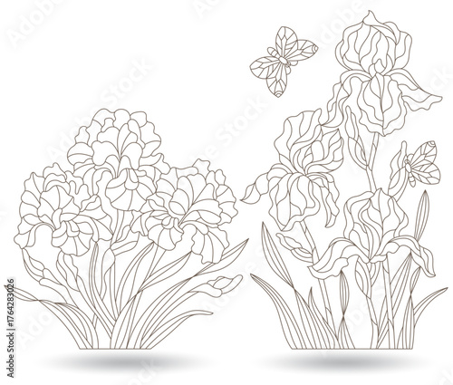 A set of contour illustrations of stained glass Windows with irises and butterflys, dark contours on a white background, oval and rectangular image