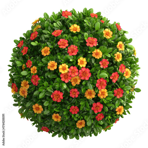 Round garden ball of vibrant orange and yellow flowers atop green foliage