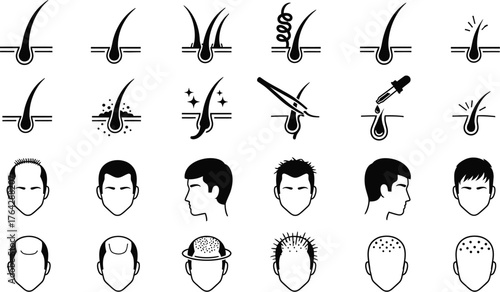 Hair loss treatment and growth stages vector icon illustration