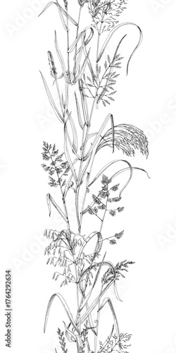 Meadow herbs vertical seamless border