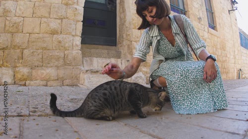 A female tourist pets a stray cat on the street. A stray cat on the street. A young woman pets a stray cat. The concept of good treatment of animals and helping them. Girl and cat.
