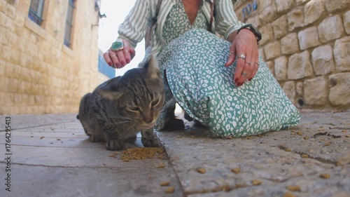 A female tourist pets a stray cat on the street. A stray cat on the street. A young woman pets a stray cat. The concept of good treatment of animals and helping them. Girl and cat.