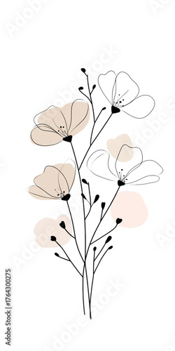 A delicate arrangement of light-colored flowers with slender stems, showcasing their elegant form and subtle details.