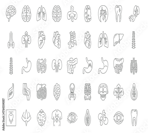 Collection of human organs isolated on white background a comprehensive set of anatomical illustrations showcasing various vital organs in detailed line art style