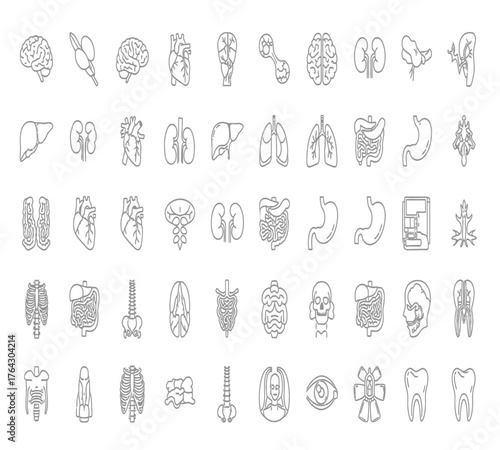 Collection of human organs isolated on white background a comprehensive set of anatomical illustrations showcasing various vital organs in detailed line art style