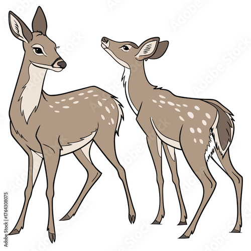 vector deers animal free download.