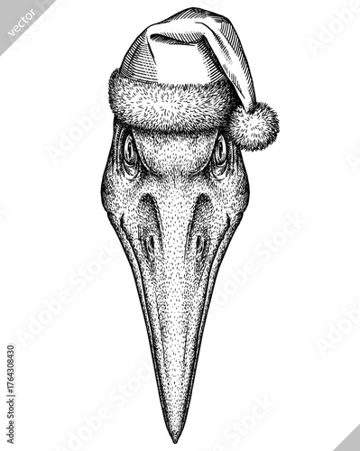 Vintage engraving christmas isolated pterosaur set illustration pterodactylus ink santa costume sketch. Flying dinosaur background silhouette Jurassic new year hat art. Hand drawn vector image