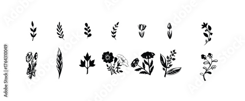 Collection of hand drawn black floral elements and leaves on a white background. Minimalist Black Floral and Leaf Silhouettes Collection, vector illustration.