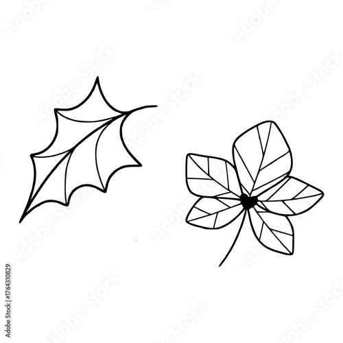 autumn leaf outline vector illustration