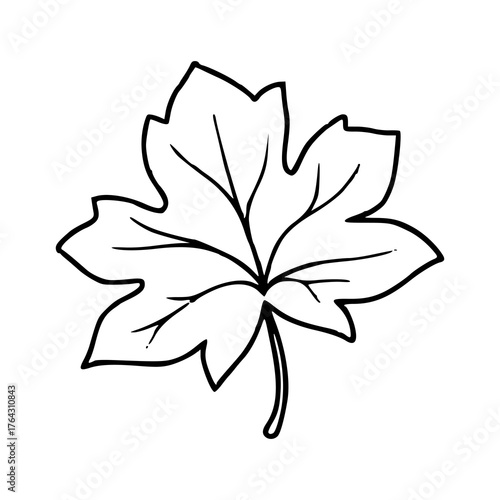 detailed maple leaf outline vector illustration