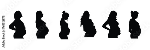 expecting mother, motherhood concept, family lifestyle, health, medical, fetal growth, maternal care, development .eps 10