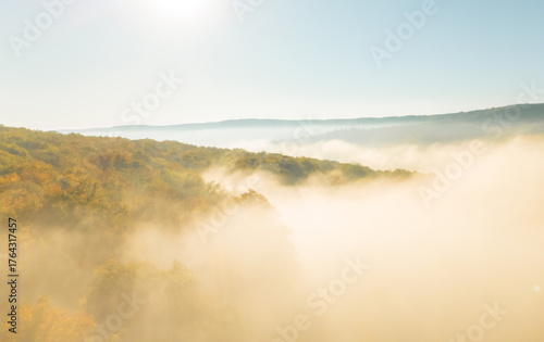 Wallpaper Mural Magical autumn scenery in the Republic of Moldova, with golden forests and peaceful Eastern European charm Torontodigital.ca