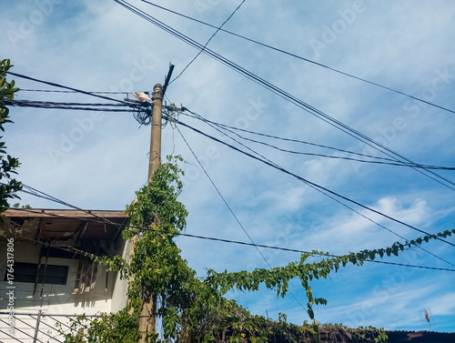 high voltage power lines against blue sky, Electricity pole and crawling plants, cable and crawling plants