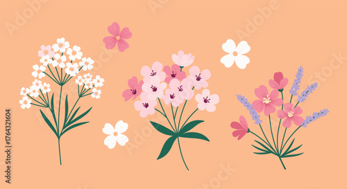 Beautiful floral arrangement with various flower types on orange background.