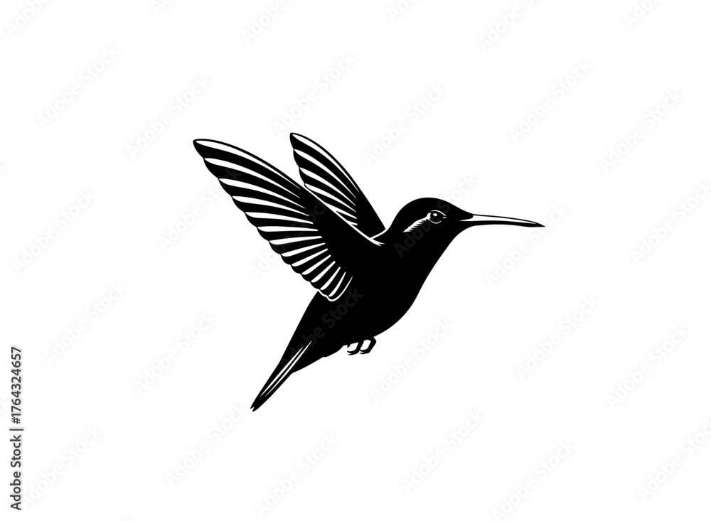 Fototapeta premium Hummingbird in flight