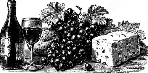 Grapes, wine, and cheese in a vintage hand-drawn style. A black outline illustration showcasing a rustic still life set vector.