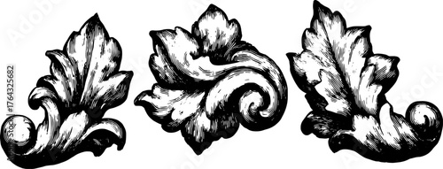 Decorative leaf element illustration in vintage style. Detailed black and white vector artwork set, showcasing elegant ornamental design.