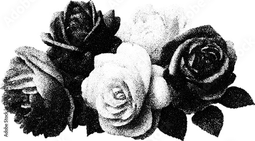 Rose floral engraving in silhouette style. Vintage print illustration with hand-drawn details. This is a vector set for decorative use.