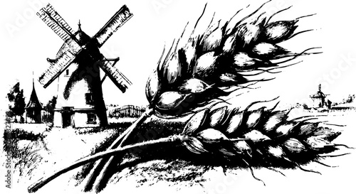 Vintage windmill and wheat engraving. Detailed line illustration in black and white, showcasing agricultural scenery as a vector set.