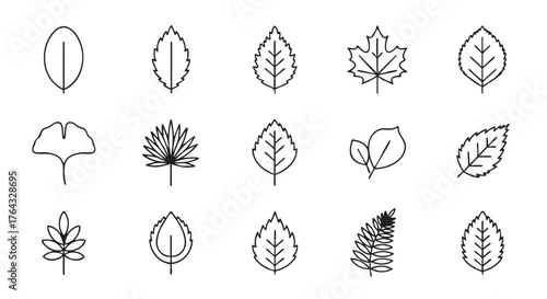 Collection of different leaf types line art minimalist design vector