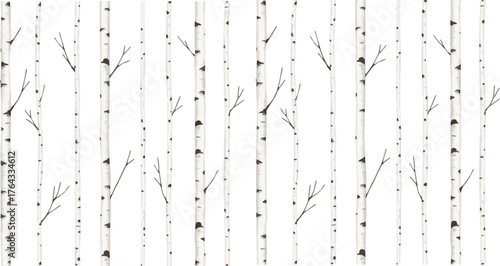 Birch trees with branches, watercolor seamless pattern. Forest illustration of stems on white background, nature template.