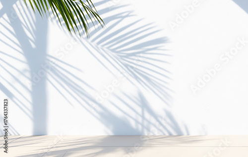 Minimalistic light background with blurred palm foliage shadow on white wall