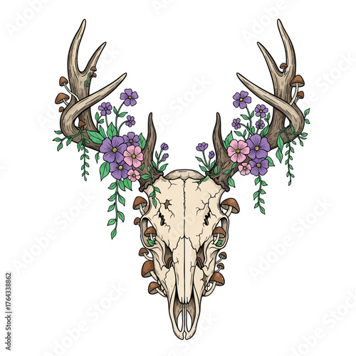 Bohemianstyle deer skull illustration with large antlers overgrown with purple flowers vines and woodland mushrooms.