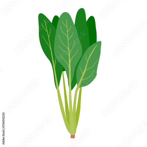 ほうれん草のシンプルなイラスト
