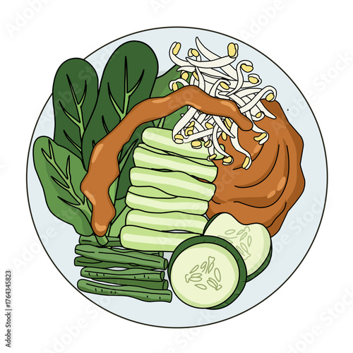 Vegetable salad plate with cucumber bean sprout leafy greens and brown sauce illustration top view