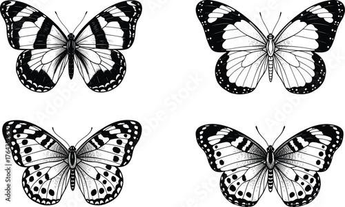 Butterfly illustration vector set, black and white insect design, detailed wing pattern artwork, nature entomology graphic, symmetrical decorative collection
