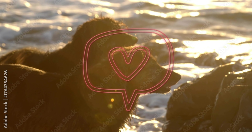 Naklejka premium Standing herding dogs showcasing wet dark fur on rocky ocean beach at sunset, foamy surf