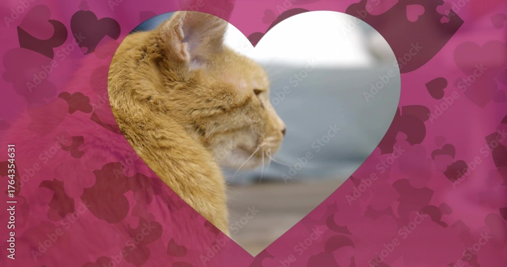 Obraz premium Peering orange tabby cat facing right through heart-shaped graphic frame at home, with heart motifs