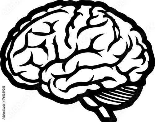Image of the human brain on a transparent background, perfect for medical and educational applications