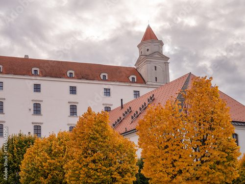 Canvas Print Bratislava Castle in Slovakia with autumn linden trees (Tilia) in the foreground under a cloudy sky