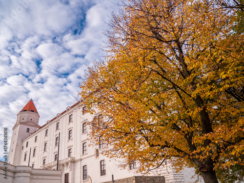 Canvas Print Bratislava Castle in Slovakia with autumn tree in the foreground and a cloudy blue sky