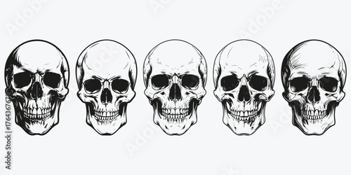 scull sketch illustration vector set