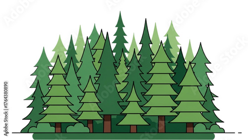 Collection of evergreen trees forming a dense forest landscape illustration