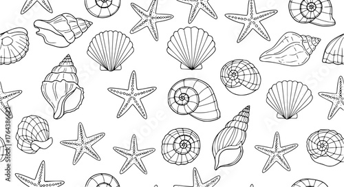 Seashells and starfish seamless pattern background vector illustration. Cute aquatic marine life doodle wallpapers
