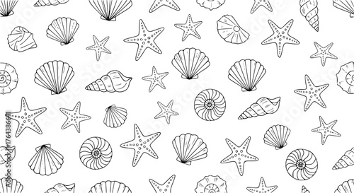 Seashells and starfish seamless pattern background vector illustration. Cute aquatic marine life doodle wallpapers
