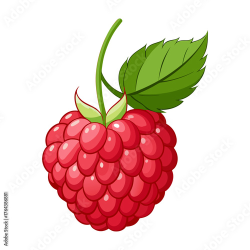 Illustration of a fresh raspberry with green leaf