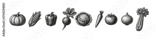 Hand drawn vintage engraving of diverse vegetables in black and white