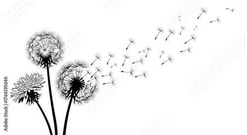 Wallpaper Mural Dandelion seed dispersal minimalist vector illustration isolated on white background representing sp Torontodigital.ca