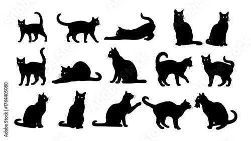 Silhouette Cat Collection Playful and Elegant Feline Illustrations