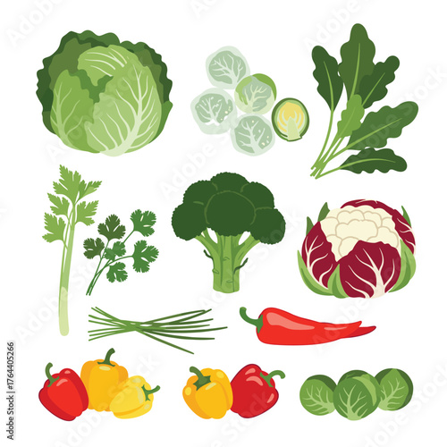 Assortment of Fresh Vegetables and Herbs for Healthy Eating.